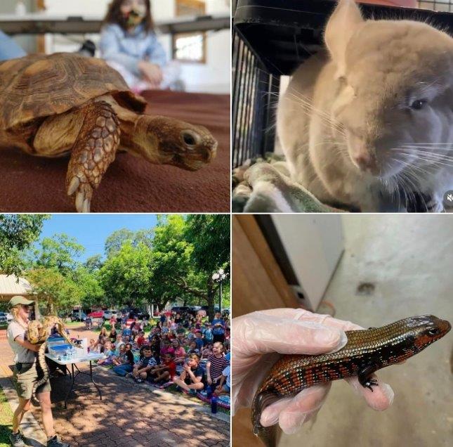 Our friends from Austin Zoo are coming to the festival and bringing few animals to hang out with kids. Don’t be late! Animals will be visiting 1 - 2 pm.